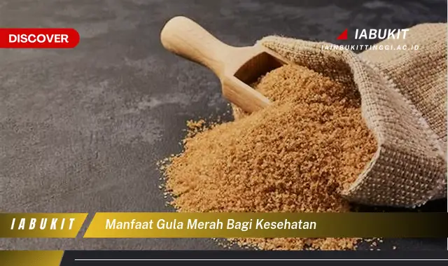 manfaat gula merah bagi kesehatan