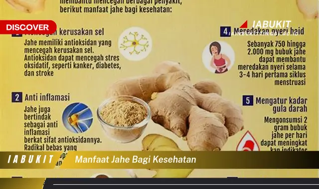 manfaat jahe bagi kesehatan