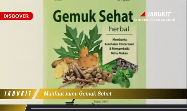 manfaat jamu gemuk sehat