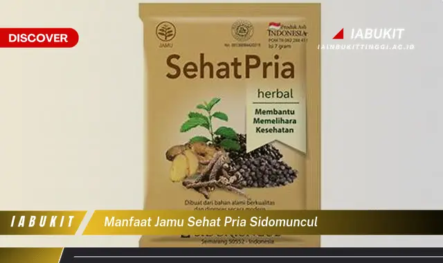 manfaat jamu sehat pria sidomuncul manfaat jamu sehat pria sidomuncul