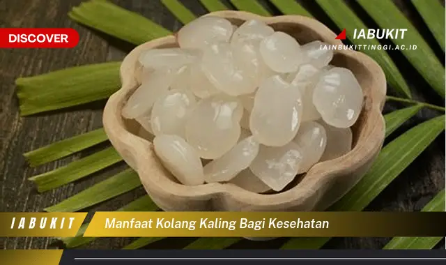manfaat kolang kaling bagi kesehatan manfaat kolang kaling bagi kesehatan