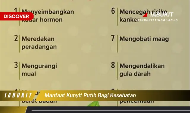 manfaat kunyit putih bagi kesehatan