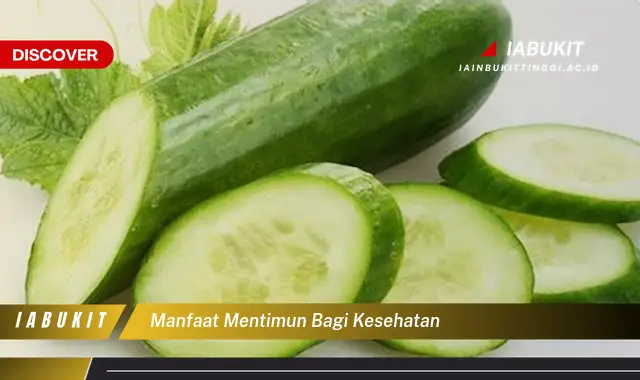 manfaat mentimun bagi kesehatan