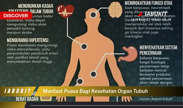 manfaat puasa bagi kesehatan organ tubuh