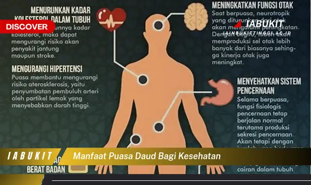 manfaat puasa daud bagi kesehatan manfaat puasa daud bagi kesehatan