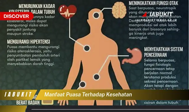 manfaat puasa terhadap kesehatan