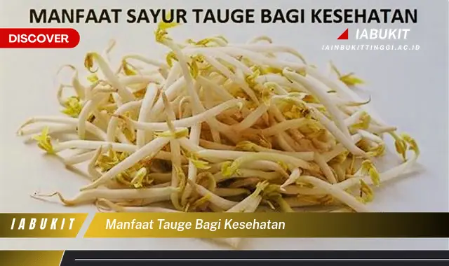 manfaat tauge bagi kesehatan