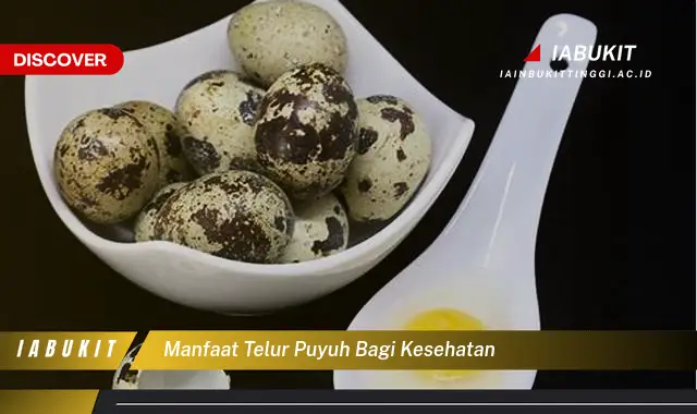 manfaat telur puyuh bagi kesehatan