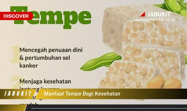 manfaat tempe bagi kesehatan