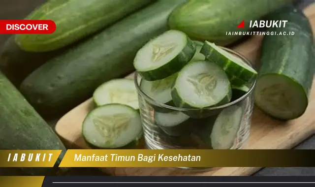 manfaat timun bagi kesehatan