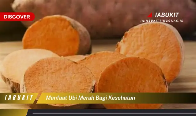 manfaat ubi merah bagi kesehatan