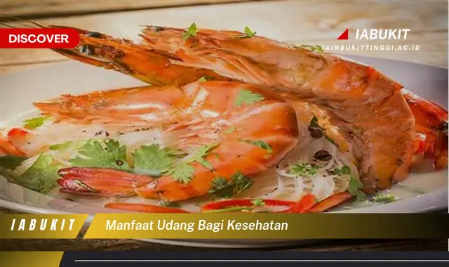 manfaat udang bagi kesehatan