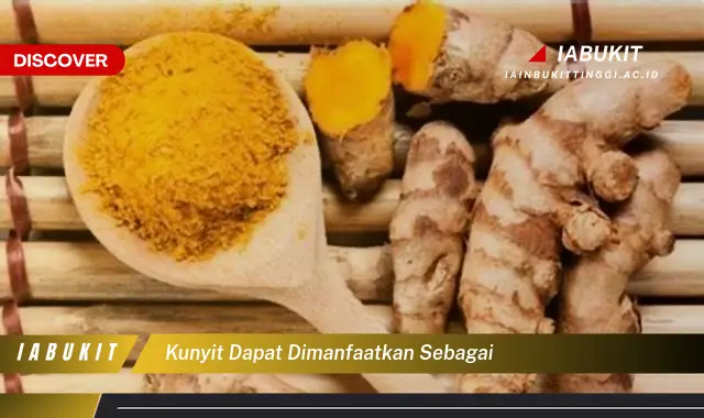 kunyit dapat dimanfaatkan sebagai