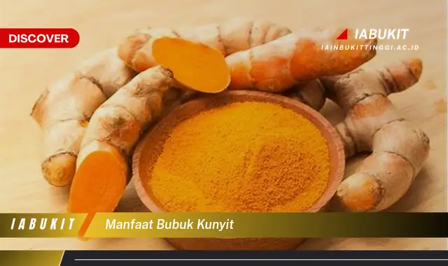 manfaat bubuk kunyit