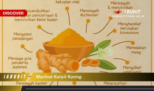 manfaat kunyit kuning