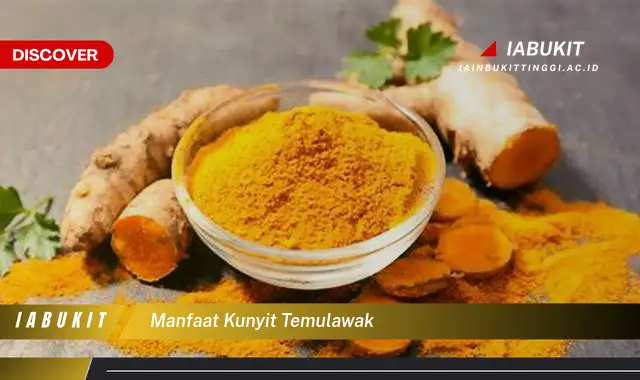 manfaat kunyit temulawak