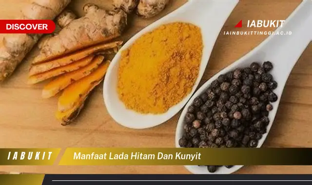 manfaat lada hitam dan kunyit