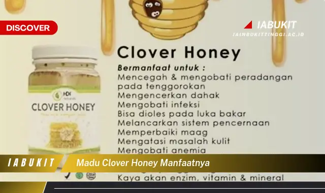 madu clover honey manfaatnya