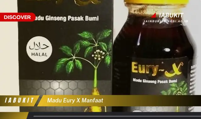 madu eury x manfaat