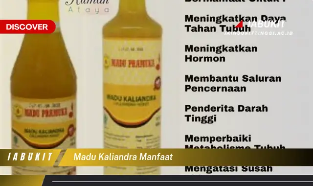 madu kaliandra manfaat