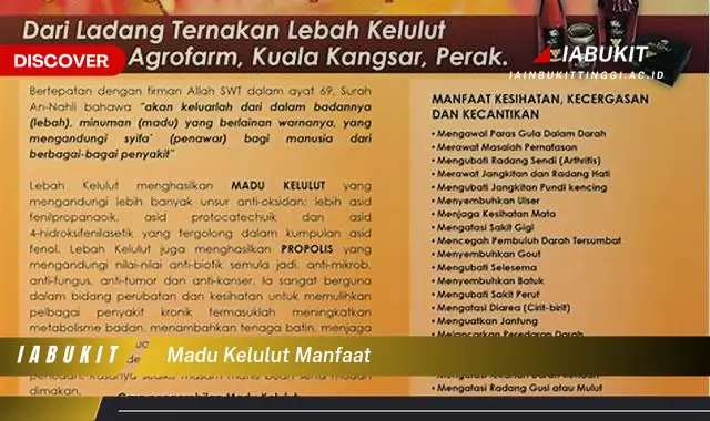 madu kelulut manfaat