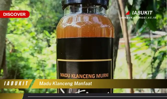 madu klanceng manfaat