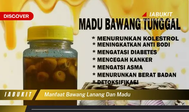 manfaat bawang lanang dan madu