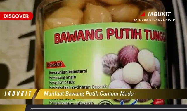 manfaat bawang putih campur madu manfaat bawang putih campur madu