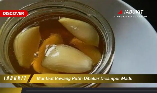 manfaat bawang putih dibakar dicampur madu manfaat bawang putih dibakar dicampur madu