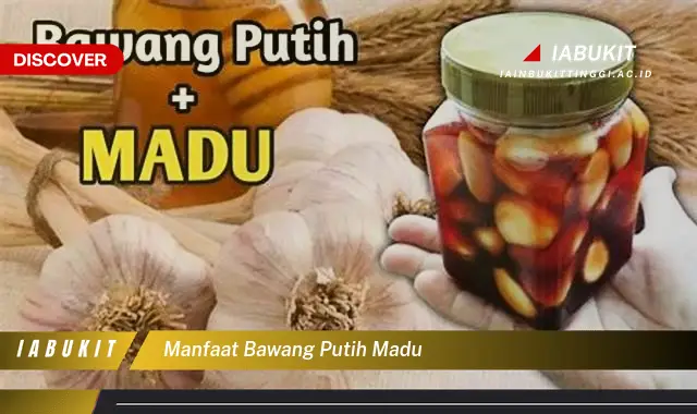 manfaat bawang putih madu