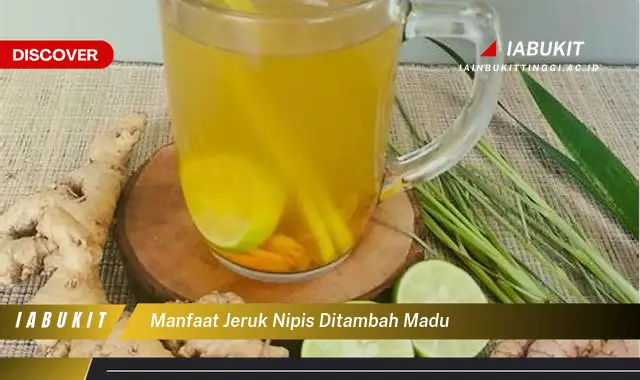 manfaat jeruk nipis ditambah madu