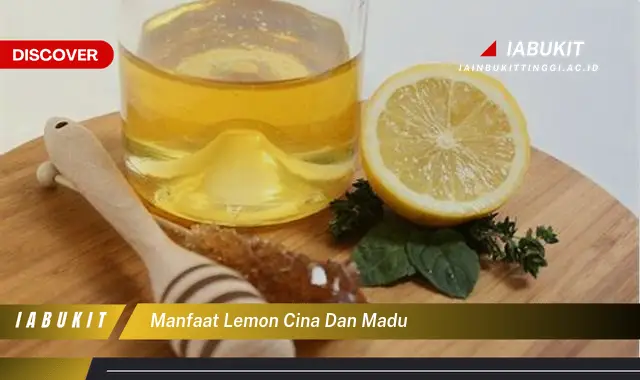 manfaat lemon cina dan madu