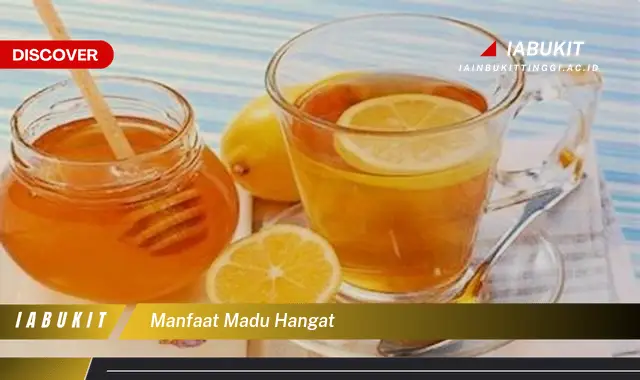 manfaat madu hangat