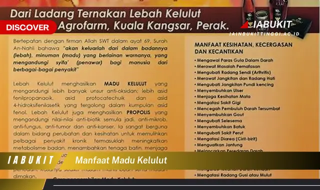 manfaat madu kelulut