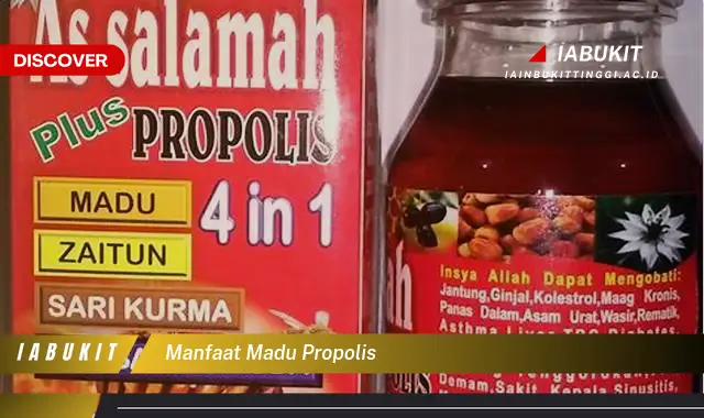 manfaat madu propolis