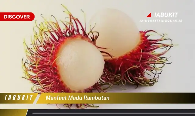 manfaat madu rambutan