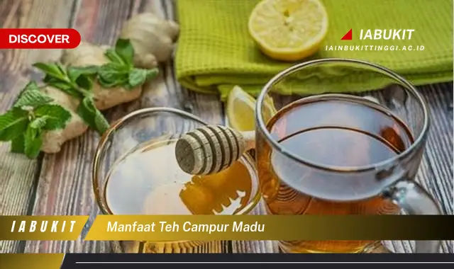 manfaat teh campur madu manfaat teh campur madu