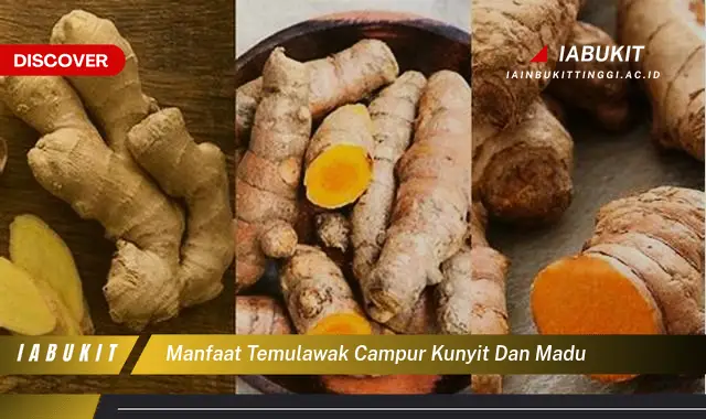 manfaat temulawak campur kunyit dan madu