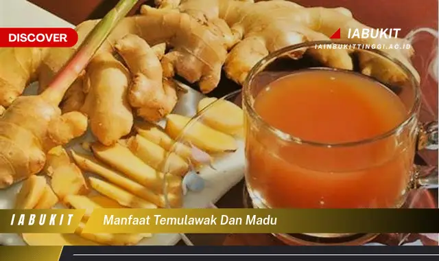 manfaat temulawak dan madu