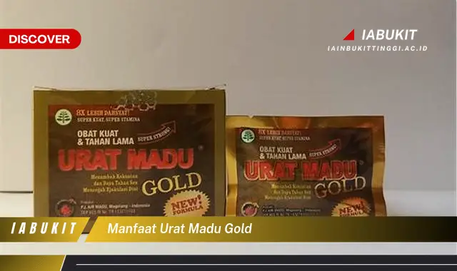 manfaat urat madu gold