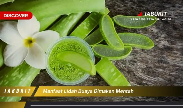 manfaat lidah buaya dimakan mentah