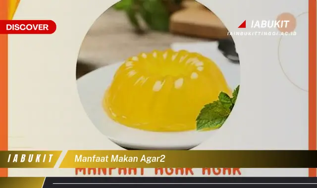 manfaat makan agar2