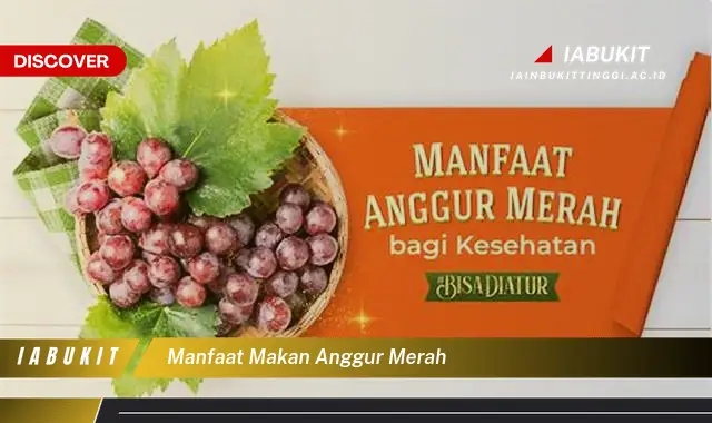 manfaat makan anggur merah