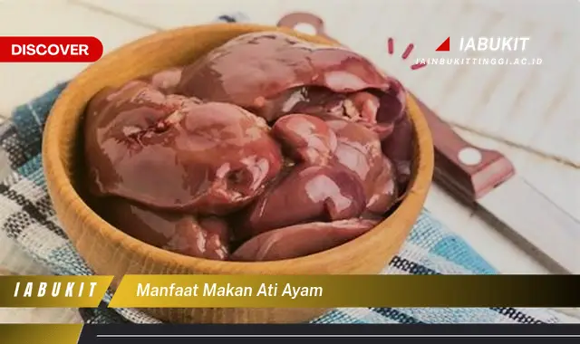 manfaat makan ati ayam