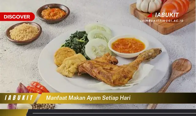 manfaat makan ayam setiap hari