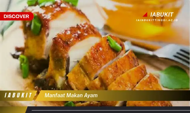 manfaat makan ayam