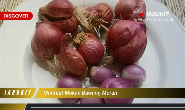 manfaat makan bawang merah