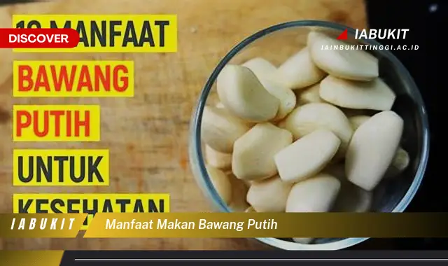 manfaat makan bawang putih manfaat makan bawang putih