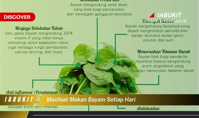 manfaat makan bayam setiap hari