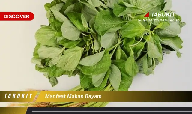 manfaat makan bayam